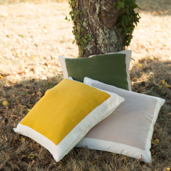 Summer Duck green
