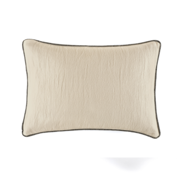 Wavelets Mastic